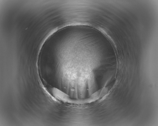 X0000053081189200507251518