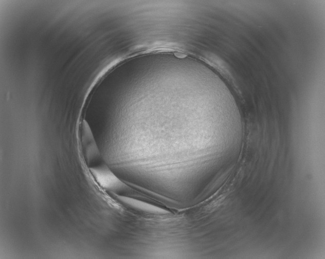 X0000053081190200507251518