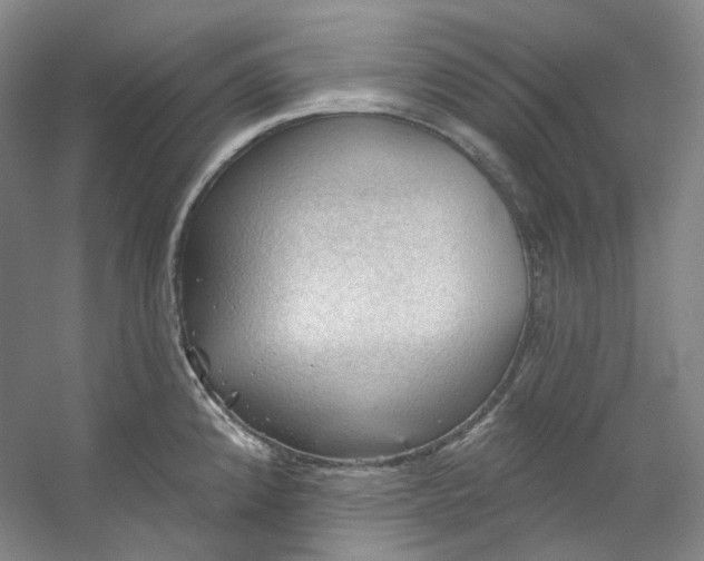 X0000053081192200507251518