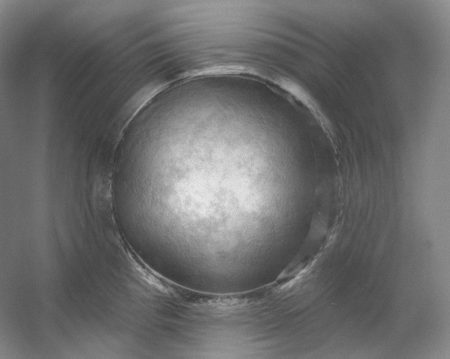 X0000053081193200507251518