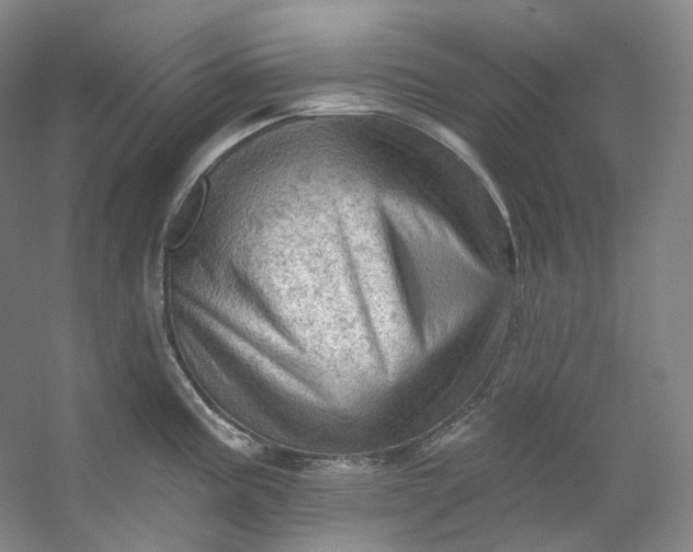 X0000053081195200507251517