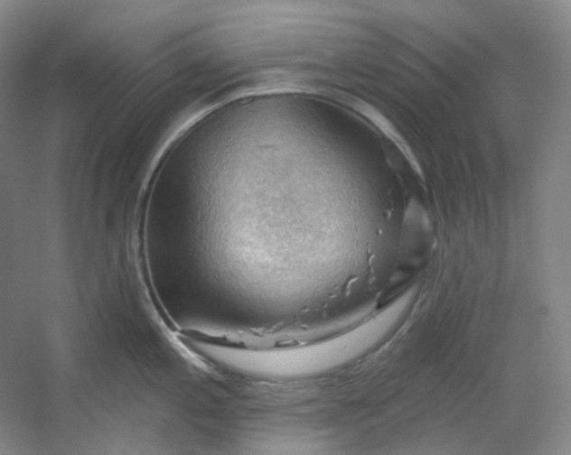 X0000053081197200507251517