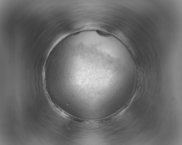 X0000053081198200507251517