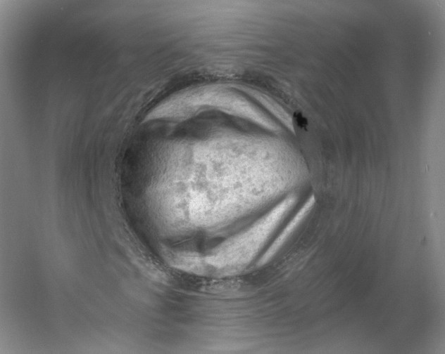 X0000053081201200507251517