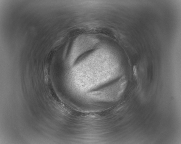 X0000053081203200507251517