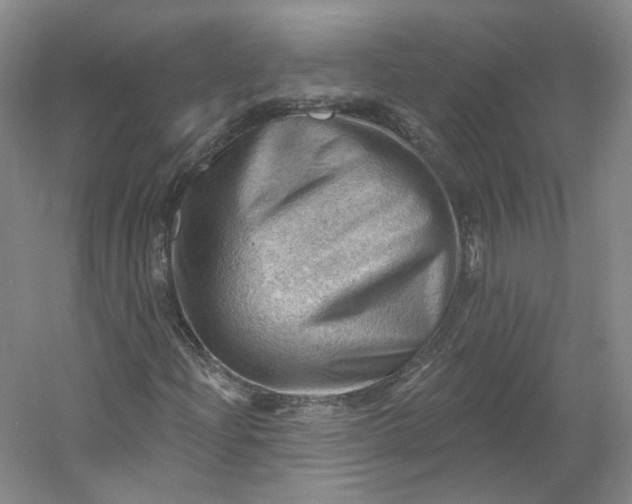 X0000053081204200507251517