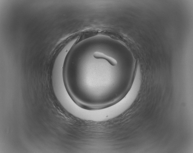 X0000053081206200507251517