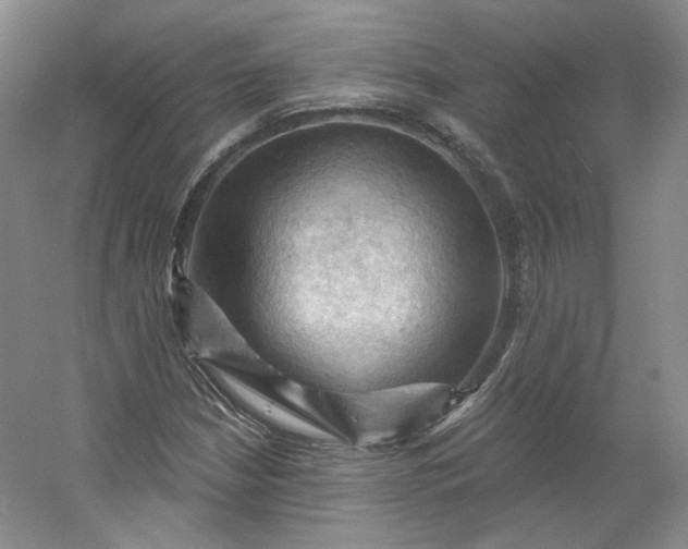 X0000053081210200507251517