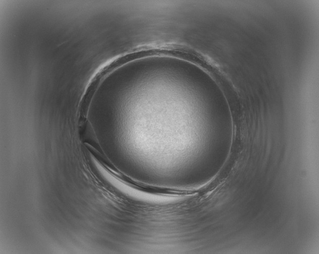 X0000053081214200507251517