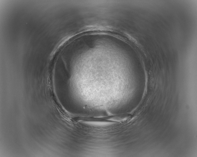 X0000053081215200507251517
