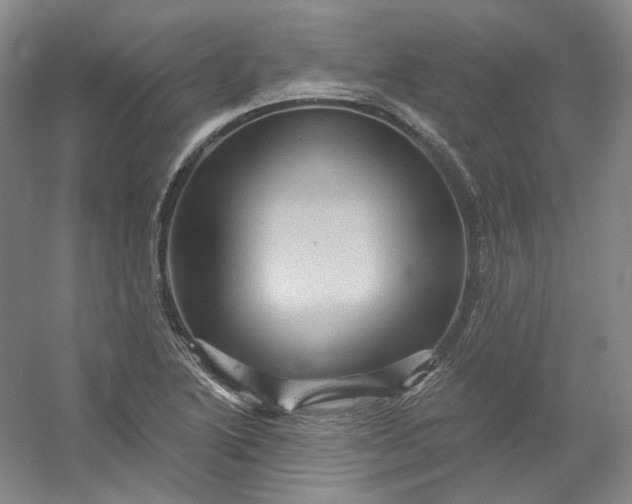 X0000053081222200507251517
