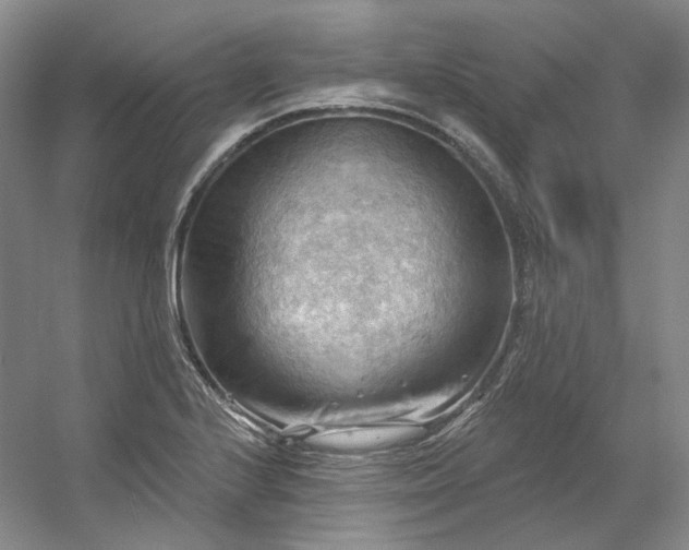 X0000053081224200507251517