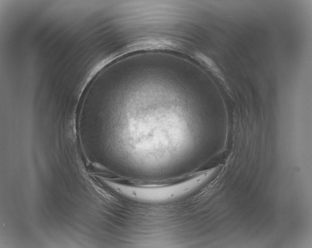 X0000053081226200507251517