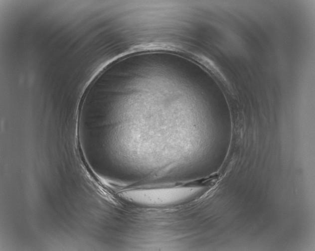 X0000053081228200507251517