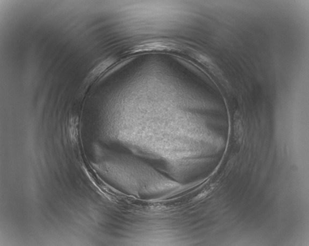 X0000053081233200507251517