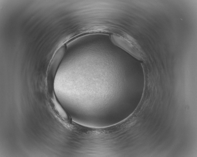 X0000053081234200507251517