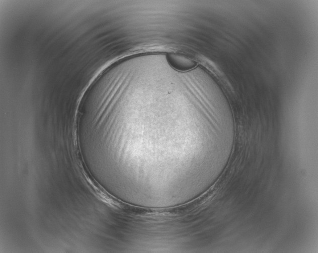 X0000053081236200507251517