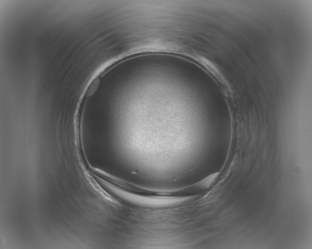 X0000053081238200507251517