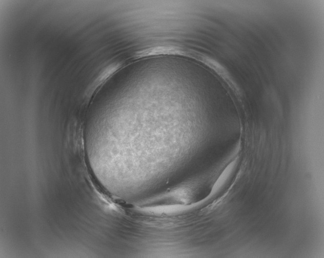 X0000053081241200507251517
