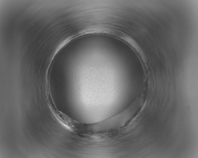 X0000053081242200507251517