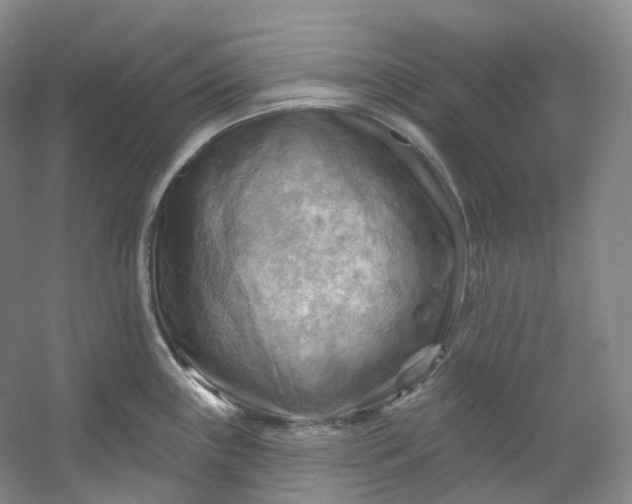 X0000053081243200507251517