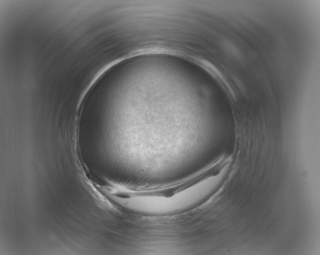 X0000053081244200507251517