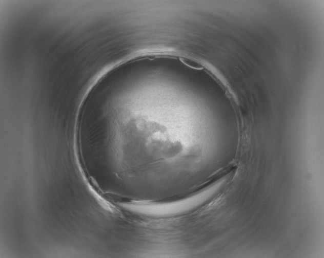 X0000053081245200507251517