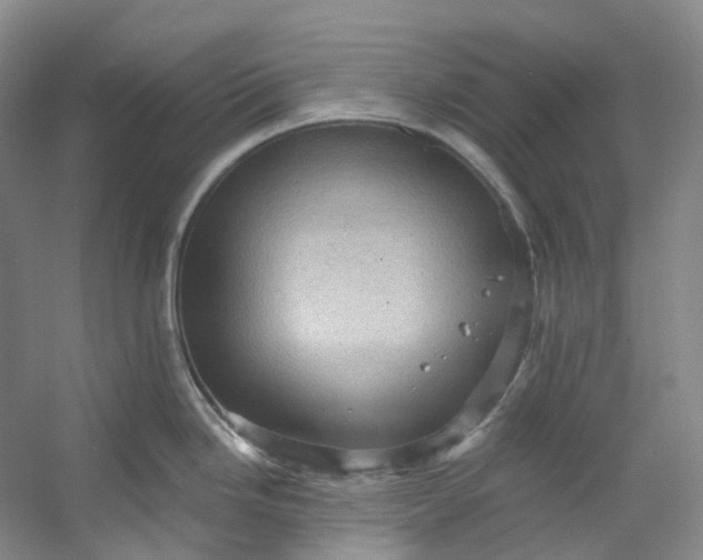 X0000053081246200507251517