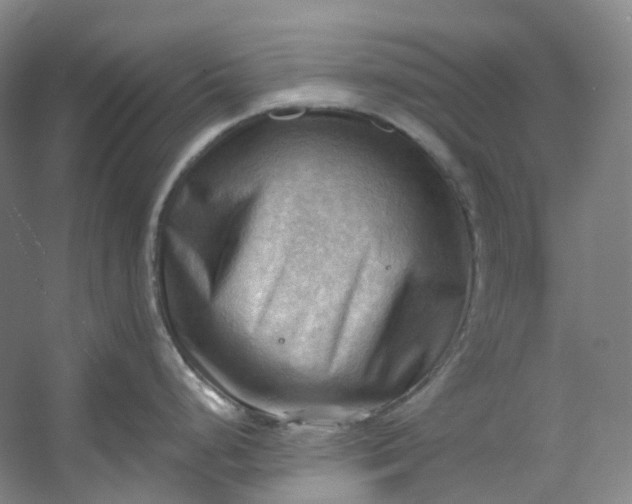 X0000053081248200507251517