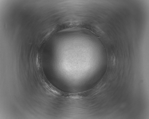 X0000053081250200507251517