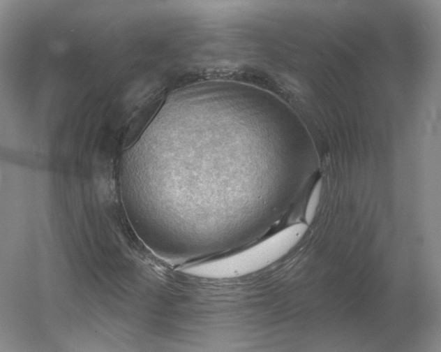 X0000053081252200507251517