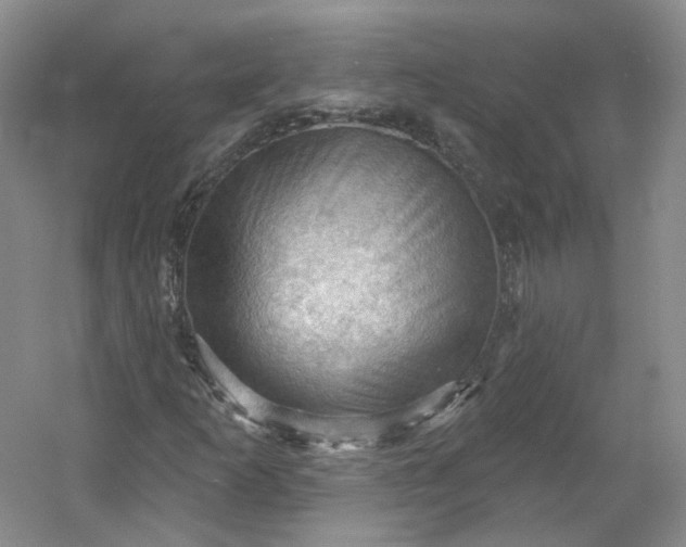X0000053081253200507251517