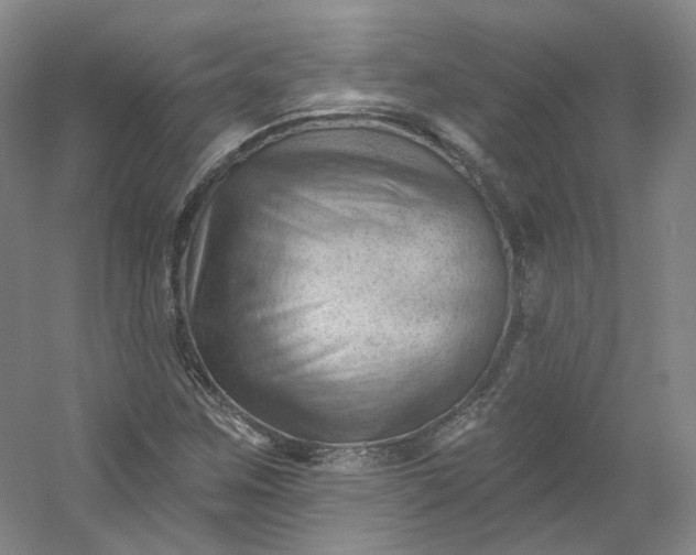 X0000053081259200507251516