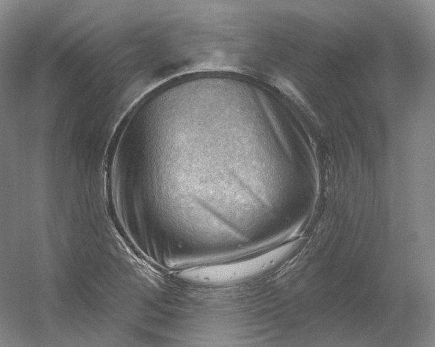 X0000053081268200507251516