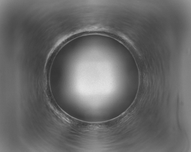 X0000053081270200507251516