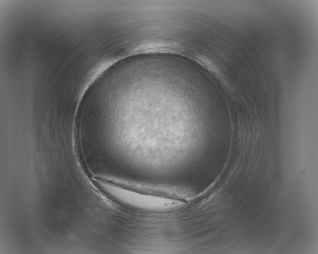 X0000053081277200507251516