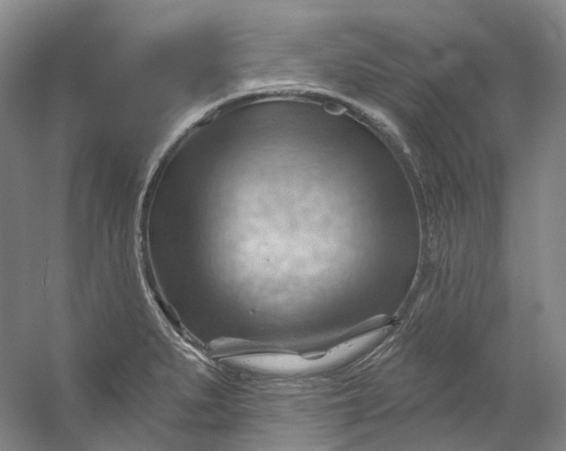 X0000053081279200507251516