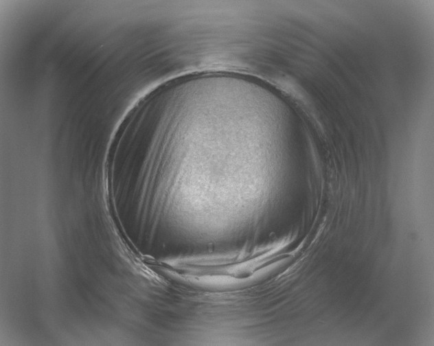 X0000053081280200507251516