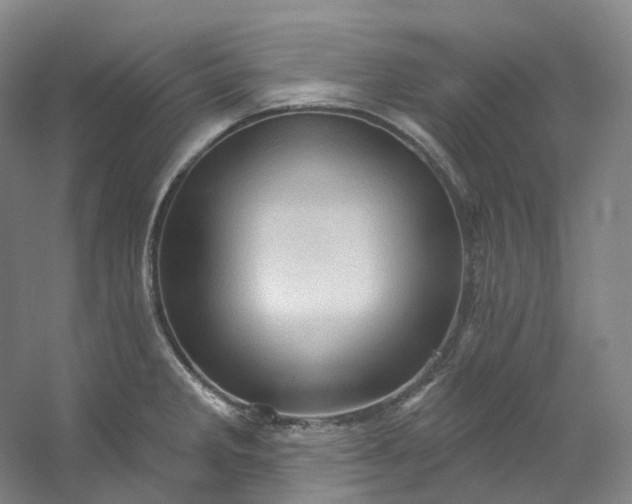 X0000053081285200507251516