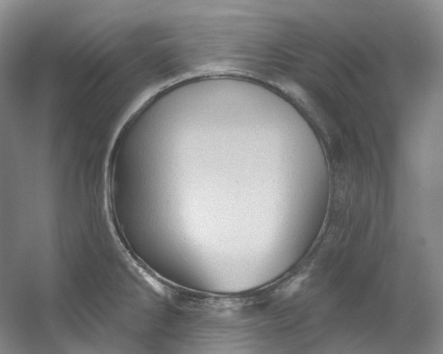 X0000053081286200507251516