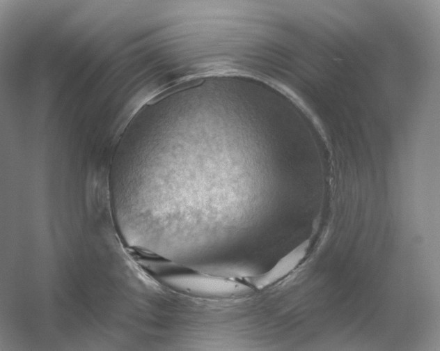 X0000053081289200507251516