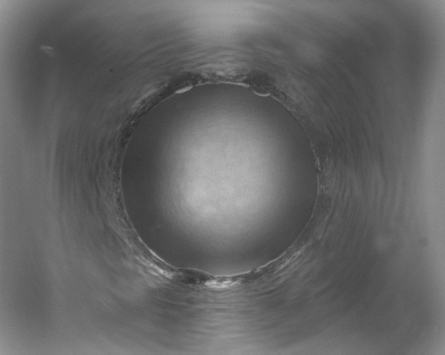 X0000053081297200507251515