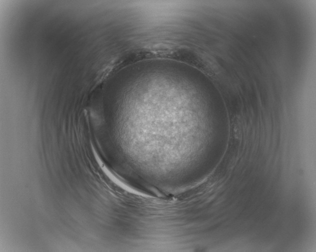 X0000053081298200507251515