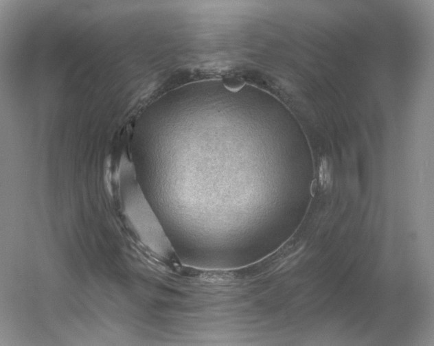 X0000053081299200507251515