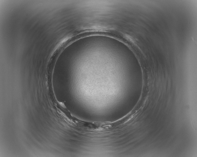X0000053081307200507251515