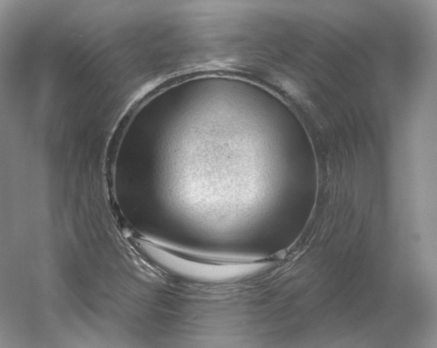 X0000053081308200507251515
