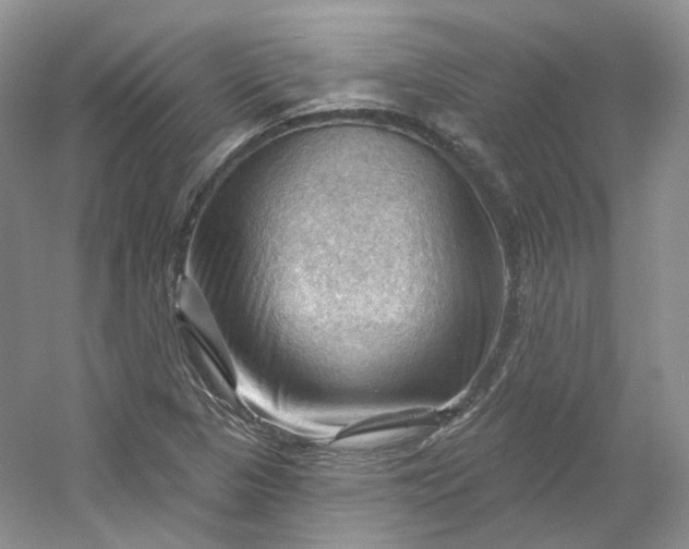 X0000053081313200507251515
