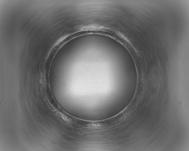 X0000053081315200507251515