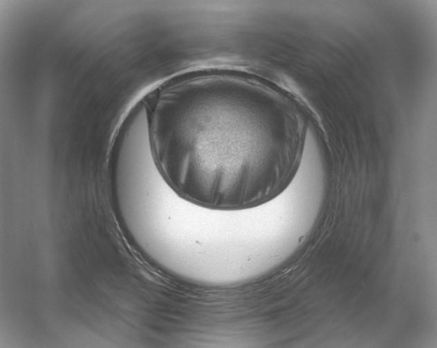 X0000053081320200507251515