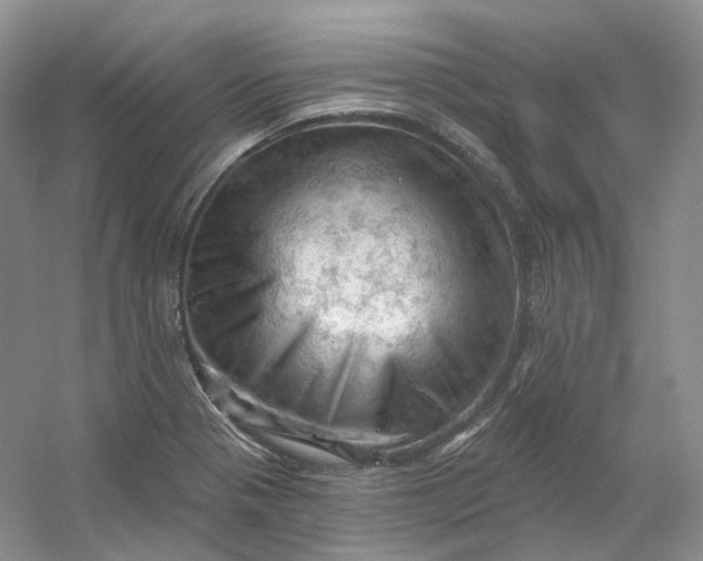 X0000053081321200507251515